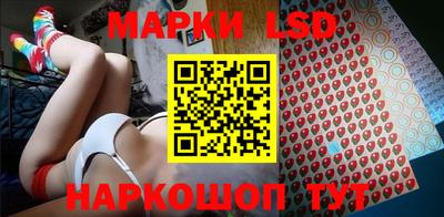 твердый Будённовск