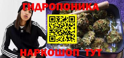 твердый Будённовск