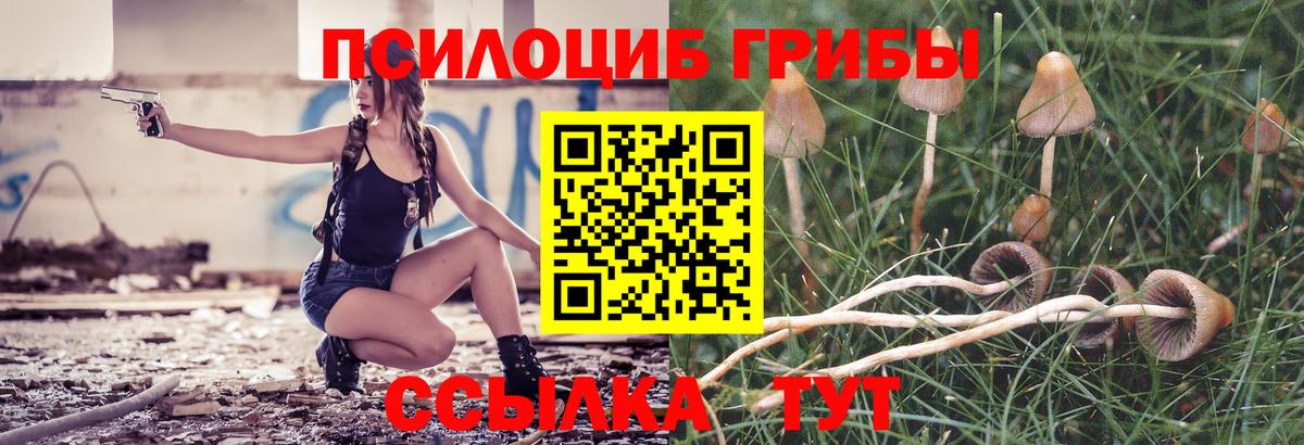 Псилоцибиновые грибы Magic Shrooms Барабинск